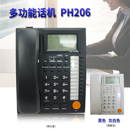 PH206